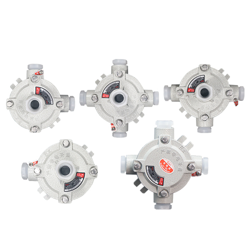 AH系列防爆接线盒(IIB/IIC)