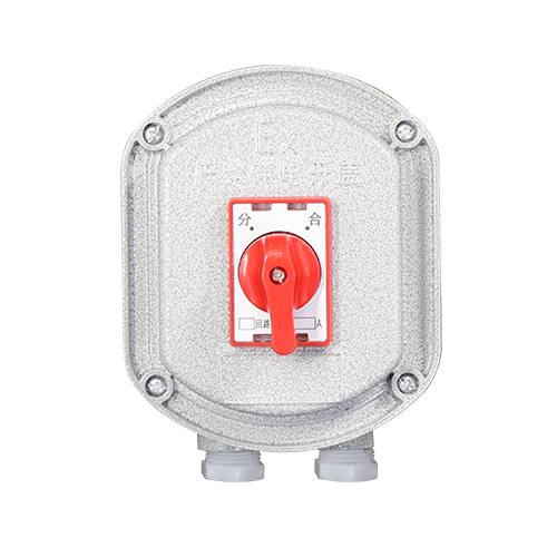 BDZ52系列防爆断路器